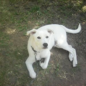 Meet your Posher, Vicky